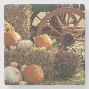 Najaarpompoenen en Mom-display Stenen Onderzetter