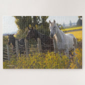 Najaarportret van drie paarden legpuzzel (Horizontaal)