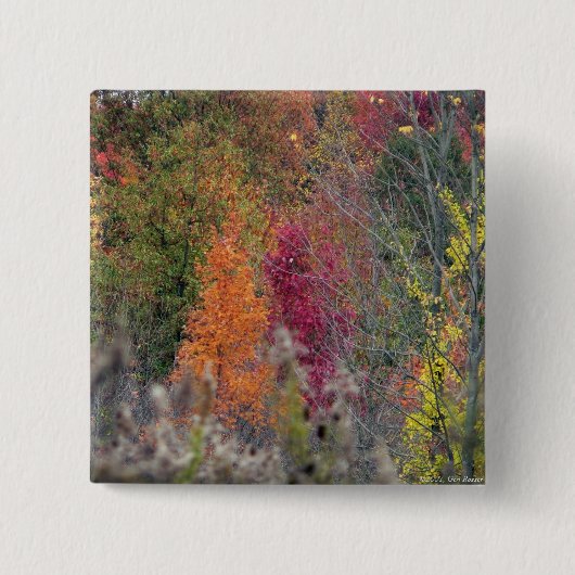 Najaars Button Palette (Voorkant)
