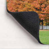 Najaars eiken muismat (Hoek)