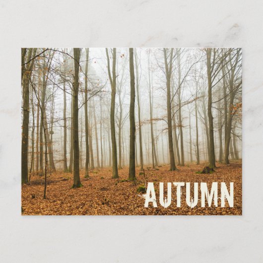 Najaars Forest Mist and Fog Herfst Season gift Feestdagenkaart (Voorkant)