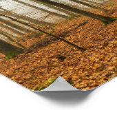 Najaars Forest Mist and Fog Herfst Season gift Poster (Hoek)