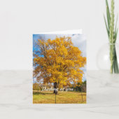 Najaars geel suikermaandop kaart (Voorkant)