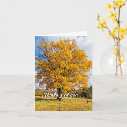 Najaars geel suikermaandop kaart (Gele Bloem)