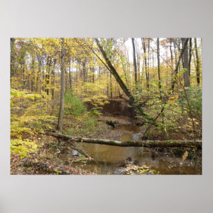 Najaars Gele Bomen bij de Stroom Poster