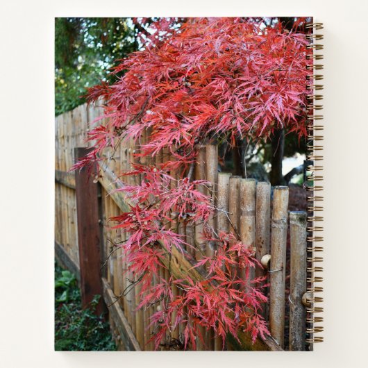 Najaars Japanse apelbladeren en omheining Notitieboek (Achterkant)
