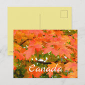 Najaars kleurt suikermoes in Canada Briefkaart (Voorkant / Achterkant)