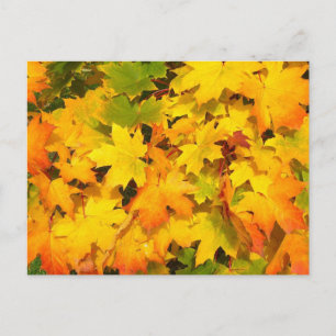 Najaars Leaf Tree Herfst Natuur Forest Destiny Sea Briefkaart
