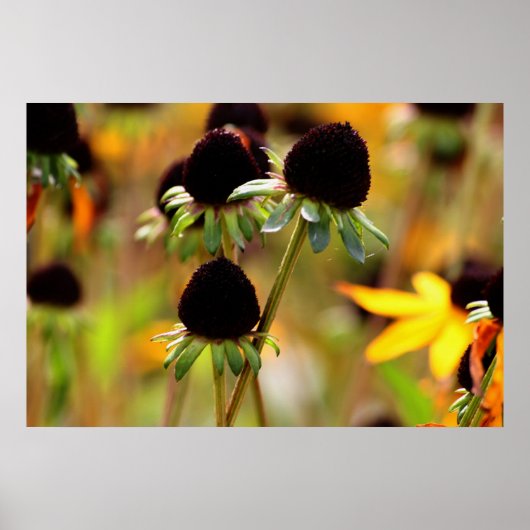 Najaars naderingen poster (Voorkant)