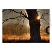 Najaars oak-ochtend gloed sympathie (Voorkant Horizontaal)