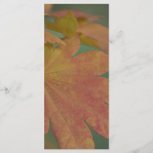 Najaars programma Colors Wedding Programmakaart (Achterkant)