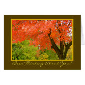 Najaars Splendor/denking van u/wenskaart (Voorkant Horizontaal)