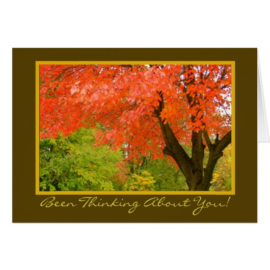 Najaars Splendor/denking van u/wenskaart (Voorkant Horizontaal)