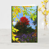 Najaars Splendor Elke Occasion Card Kaart (Gele Bloem)