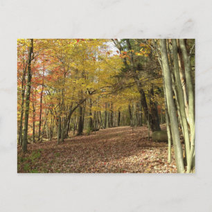 Najaars Thanksgiving van Harvest Briefkaart