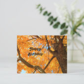 Najaars Yellow Maple Tree Fothday Briefkaart (Staand voorkant)