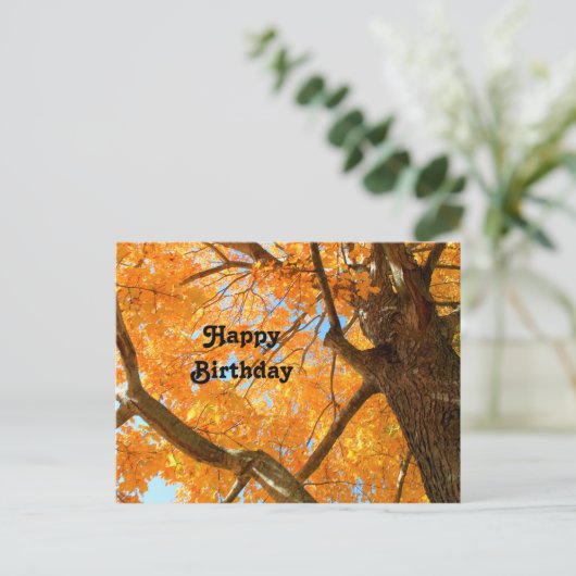 Najaars Yellow Maple Tree Fothday Briefkaart (Staand voorkant)