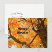 Najaars Yellow Maple Tree Fothday Briefkaart (Voorkant / Achterkant)