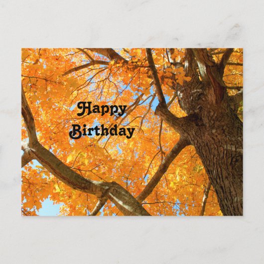 Najaars Yellow Maple Tree Fothday Briefkaart (Voorkant)
