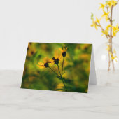 najaarsaanpak kaart (Gele Bloem)