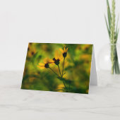 najaarsaanpak kaart (Voorkant)