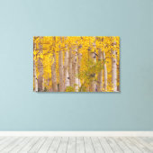 Najaarsasten in Kebler Pass in Colorado. Canvas Afdruk (Insitu (Houten vloer))