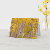 Najaarsasten in Kebler Pass in Colorado. Kaart (Gele Bloem)