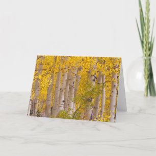 Najaarsasten in Kebler Pass in Colorado. Kaart