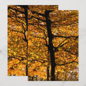 Najaarsblad (Voorkant / Achterkant)