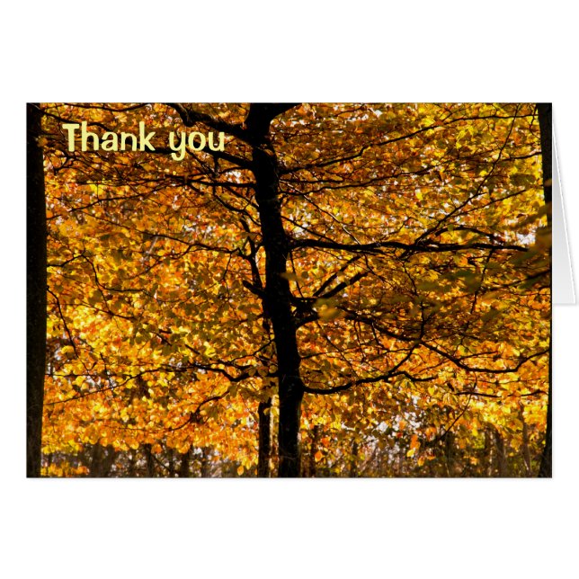 Najaarsblad (Voorkant Horizontaal)