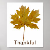 Najaarsblad Thankful waterverf Poster (Voorkant)
