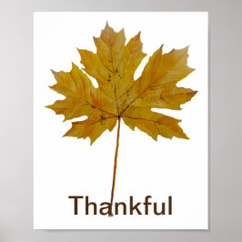 Najaarsblad Thankful waterverf Poster
