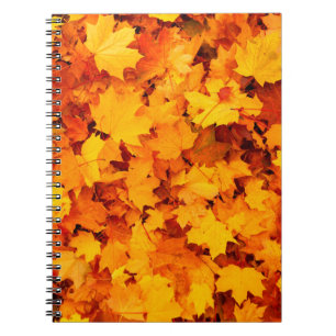 Najaarsbladeren bladeren bladeren bladeren herfstb notitieboek