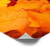 Najaarsbladeren bladeren bladeren bladeren herfstb poster (Hoek)