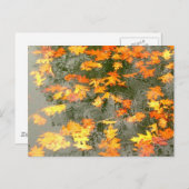 Najaarsbladeren in de regen briefkaart (Voorkant / Achterkant)