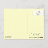 Najaarsbladeren in Missouri Briefkaart (Achterkant)