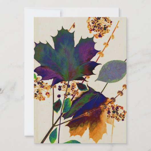 Najaarsbladeren in Royal Colors (Voorkant)