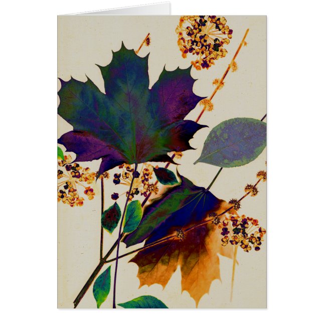 Najaarsbladeren in Royal Colors (Voorkant)