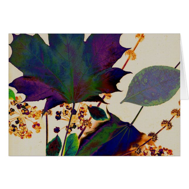 Najaarsbladeren in Royal Colors (Voorkant Horizontaal)