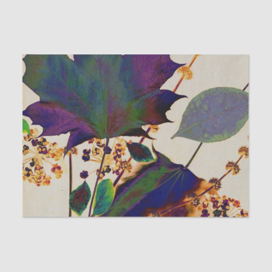 Najaarsbladeren in Royal Colors Tissuepapier (Voorkant)