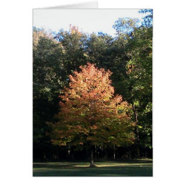 Najaarsbladeren (Sjabloon) Kaart