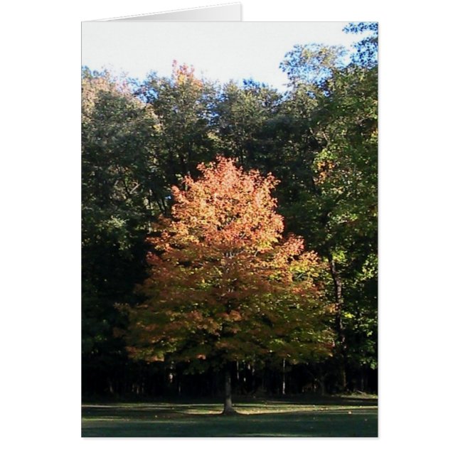 Najaarsbladeren (Sjabloon) Kaart (Voorkant)