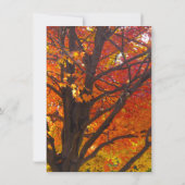 Najaarsbladeren van gele en Oranje huwelijksuitnod Kaart (Achterkant)