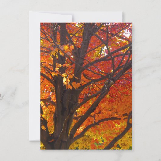 Najaarsbladeren van gele en Oranje huwelijksuitnod Kaart (Achterkant)