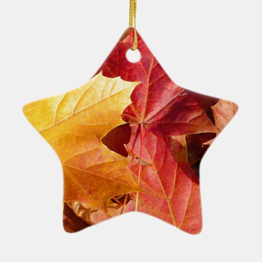 Najaarsbladeren - Verbluffend! Keramisch Ornament (Achterkant)