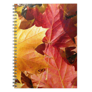 Najaarsbladeren - Verbluffend! Notitieboek