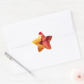 Najaarsbladeren - Verbluffend! Ster Sticker (Envelop)