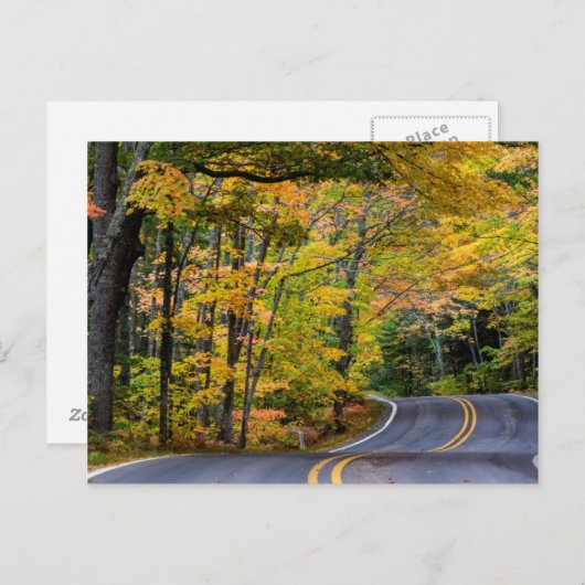 Najaarsbladopy van de kleur langs de weg 41 briefkaart (Voorkant / Achterkant)