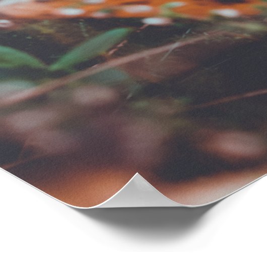 Najaarsbloemen Poster (Hoek)