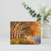 Najaarsbomen boven een meer briefkaart (Staand voorkant)